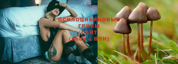 мяу мяу мука Армянск