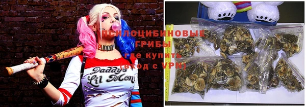 ECSTASY Аркадак