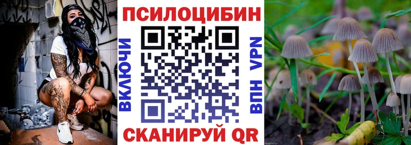 это телеграм  Пыталово  Псилоцибиновые грибы Psilocybine cubensis 